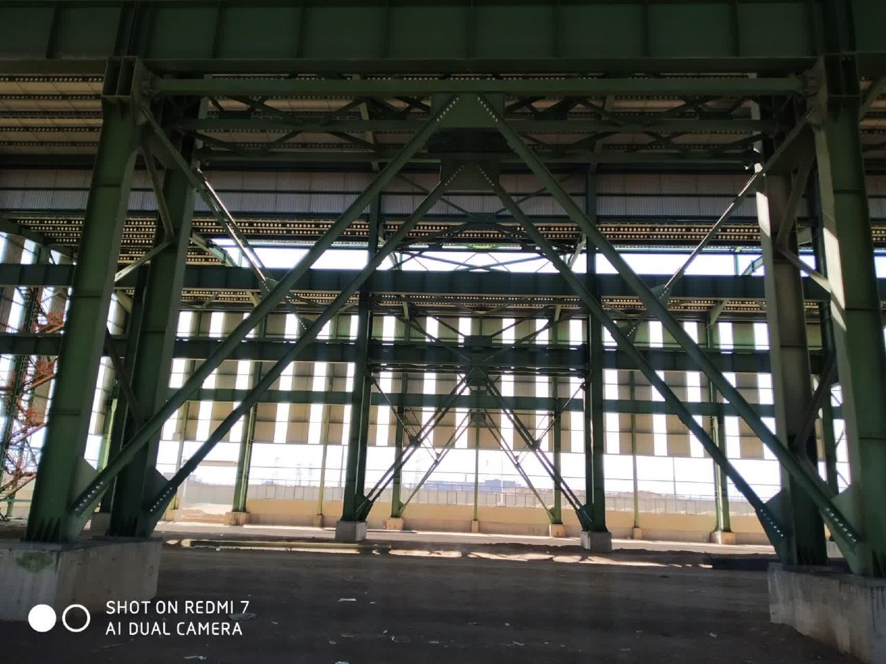 photo_77_2025-08-09_12-31-10