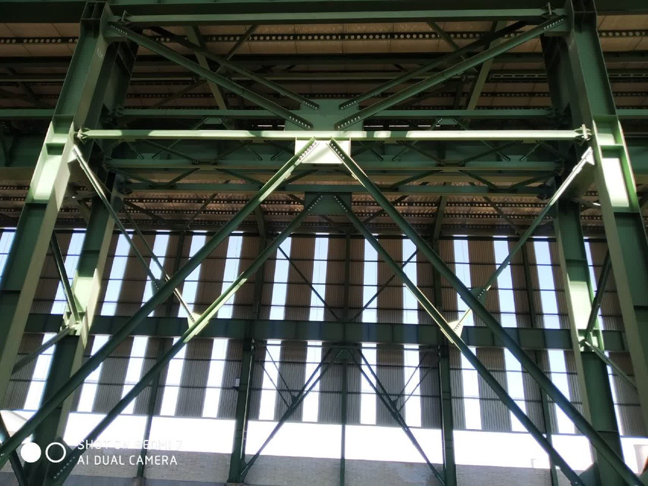 photo_79_2025-08-09_12-31-10