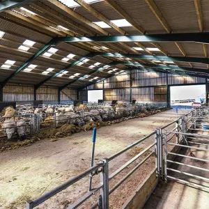 سوله دامداری