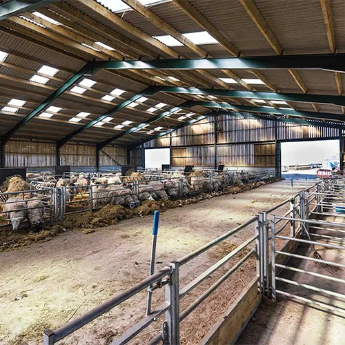 سوله دامداری