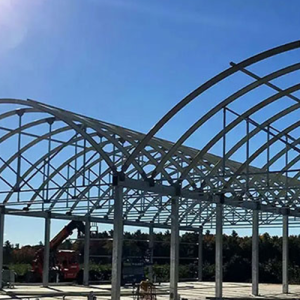 پل فلزی معلق