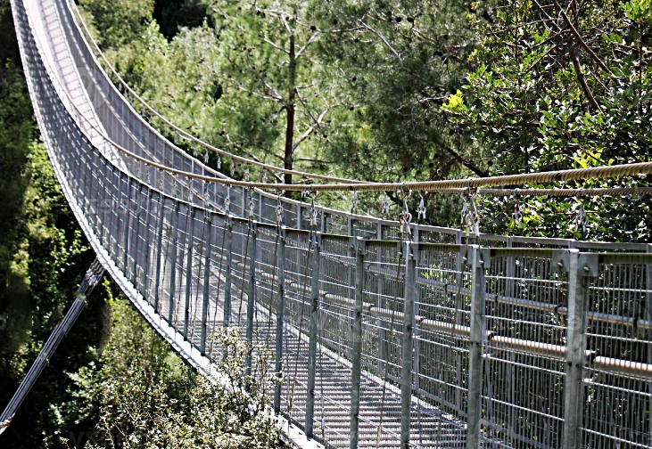 پل فلزی معلق